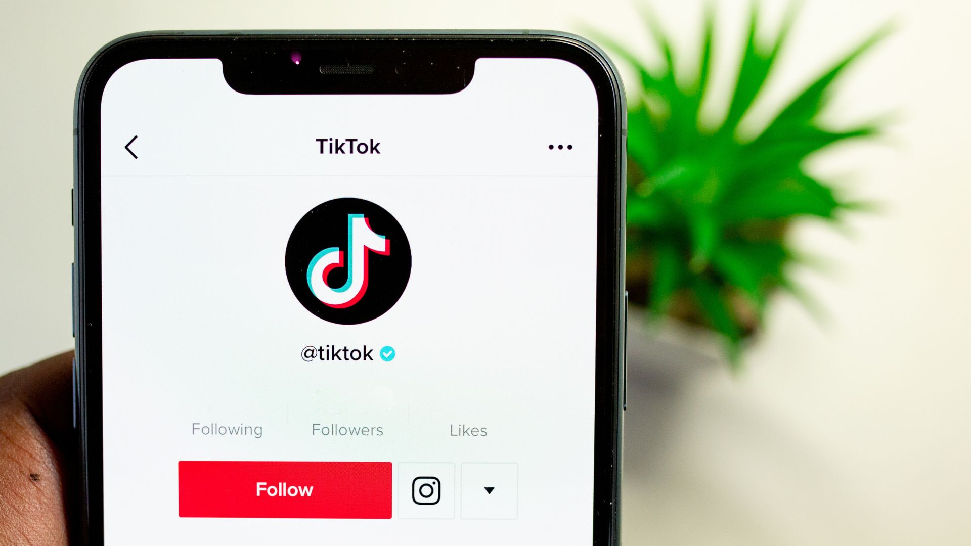 Close up of TikTok's TikTok account on an iPhone.