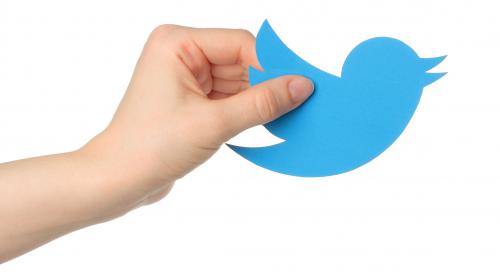 The Morality of Immoral Tweets