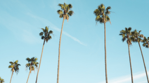 Growth Hacking & Marketing: Simple Tactics for Max Impact