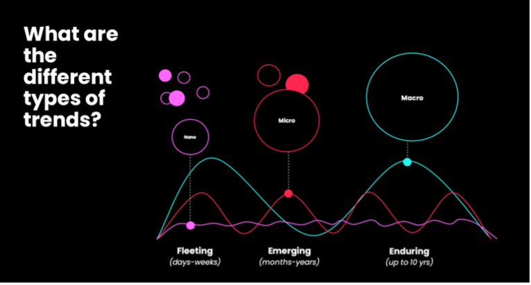 Graph with TikTok Trends