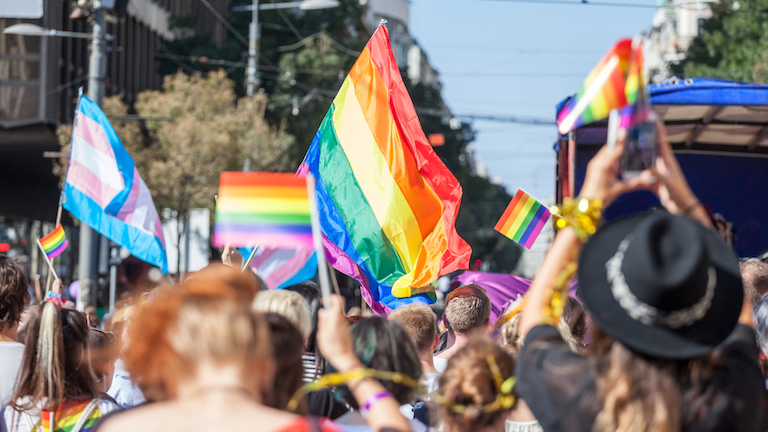 pride flag with audience