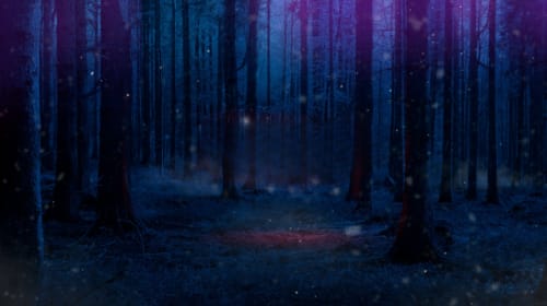 Bias di conferma: cosa ci insegna Stranger Things