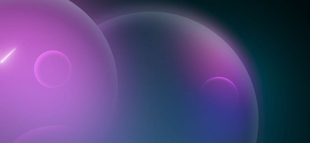 TLF Impact Report 2024/2025