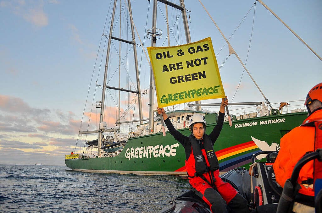 Las mejores campañas de Greenpeace