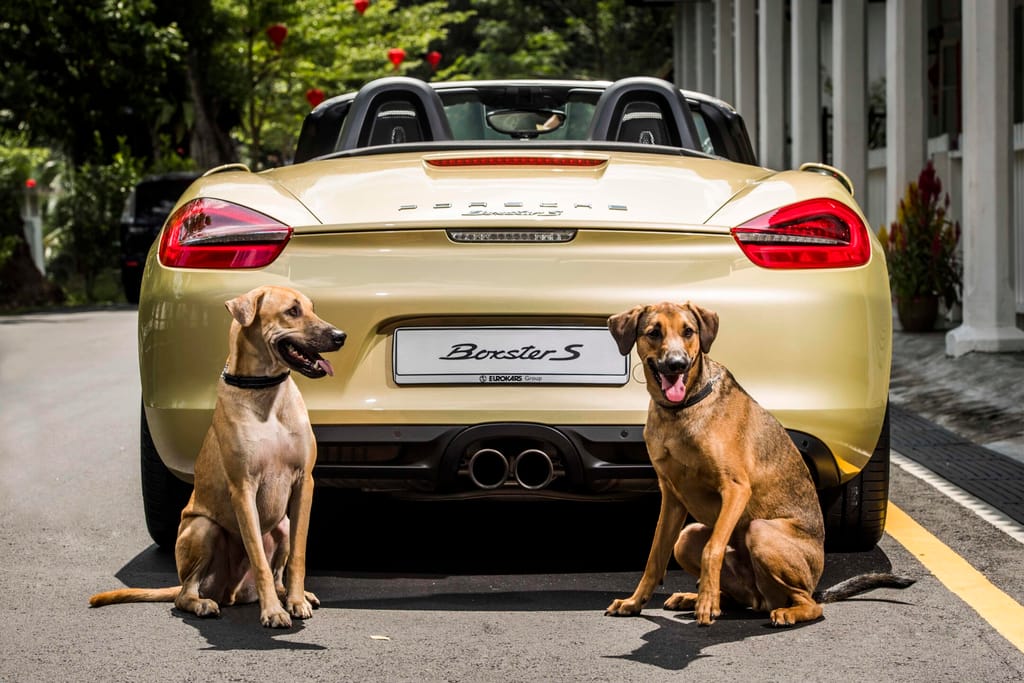 Campaña comunicación Porsche