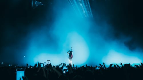 The Allure of the Tribe: Exploring the Psychology of Fandom