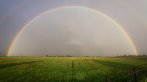 Rainbow-Washing in Unternehmen – und was es heißt, ein wahrer Ally zu sein