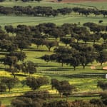 Campaña influencer Turismo Extremadura