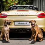 Campaña comunicación Porsche