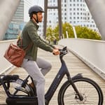 bike to work gazelle