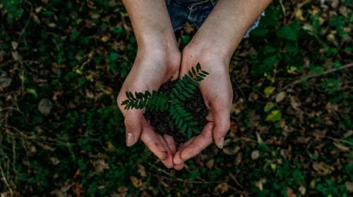 Nachhaltiges Handeln mit Green Marketing richtig kommunizieren