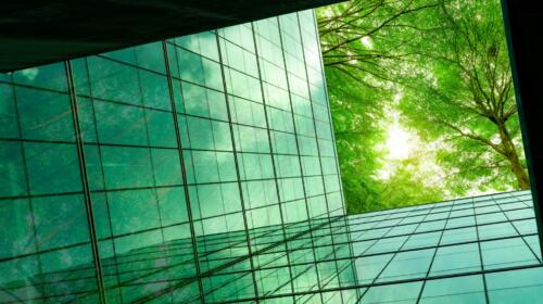 Is Greenwashing on the Rise?: How to Approach ESG Comms in an Era of Increased Scrutiny