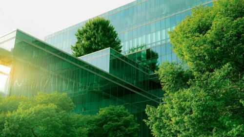 Cynicism from within tarnishes UK plc ESG efforts