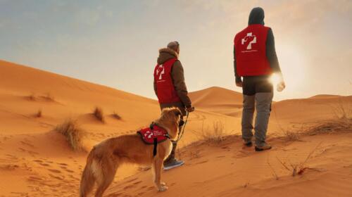 Dogs Without Borders: una campaña creativa para detectar el cáncer de mama