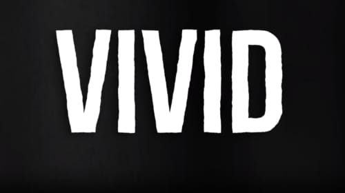 TEAM LEWIS präsentiert neues globales Beratungsangebot „VIVID“