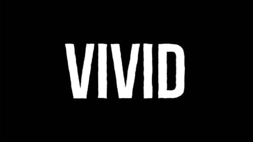 VIVID: corporate storytelling & Reputatiemanagement