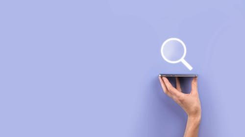 Understanding the 4 Types of SEO and the SEO Process