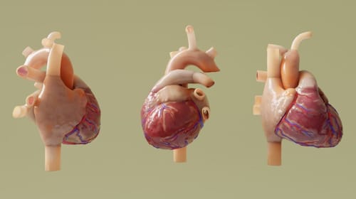 Ethiek en data in zorgcommunicatie: een noodzakelijke balans