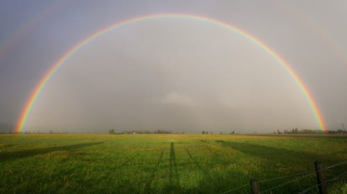 Rainbow-Washing in Unternehmen – und was es heißt, ein wahrer Ally zu sein