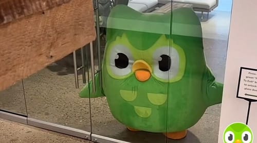 Por qué funciona la estrategia de Duolingo en TikTok