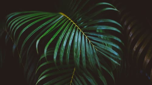 ¿Qué opinan los MarCom españoles sobre la comunicación ESG?