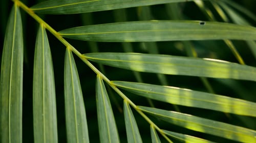 Comunicación ESG: ¿están los Dircom preparados para liderar?