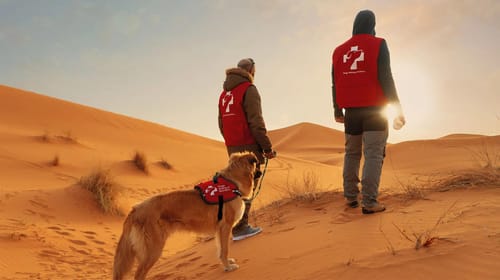 Dogs Without Borders: una campaña creativa para detectar el cáncer de mama