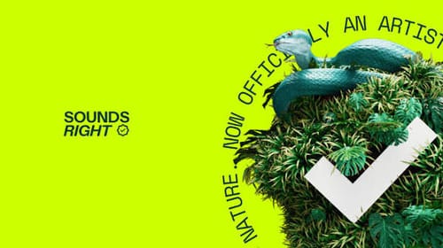 «Sounds Right” convierte cada escucha en fondos para conservar el planeta