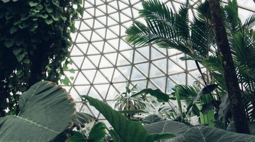 Le migliori campagne di Green Marketing