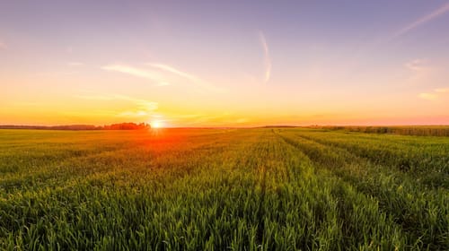 Stand Out in the Agriculture Media Landscape