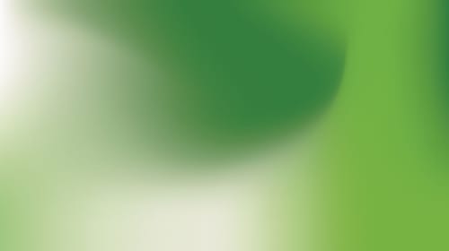 Should environmental journalists influence readers to be more sustainable?