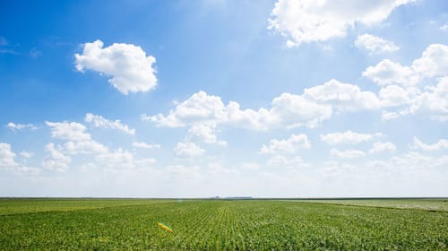 From windscreen to big screen: What brands can learn from Clarkson’s Farm’s success