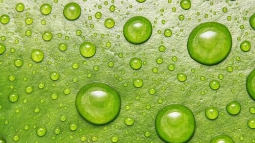 ESG: O que é, por que importa e como aplicá-lo na sua empresa?