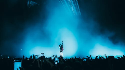 The Allure of the Tribe: Exploring the Psychology of Fandom