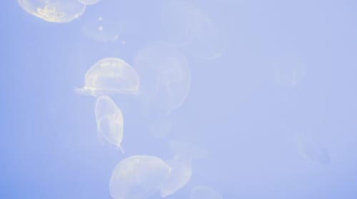 Instinct vs Data Driven PR