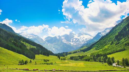 LEWIS unterstützt Alpenhain bei der Produkt- und Unternehmenskommunikation