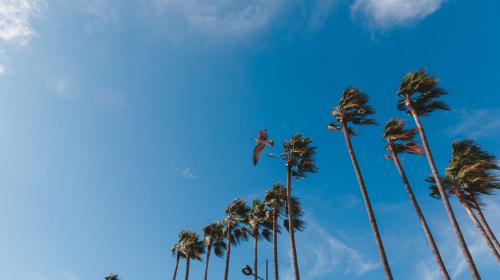 Meine Learnings der Cannes Lions