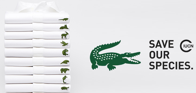 Chandal Lacoste Hombre | Chándal de hombre Lacoste x Bleu Mode Verde «  Portelamor