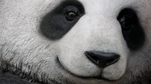 Google lanza Panda 4.1, nueva herramienta para el marketing online