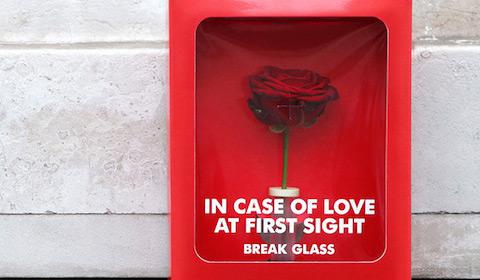 Campaña San Valentín: En caso de Amor a Primera Vista