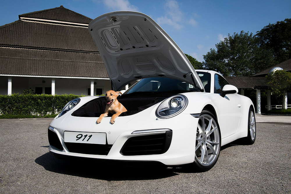 Campaña Porsche