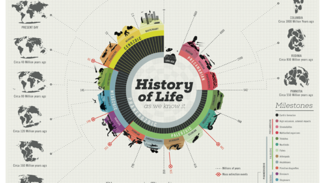 crear infografía