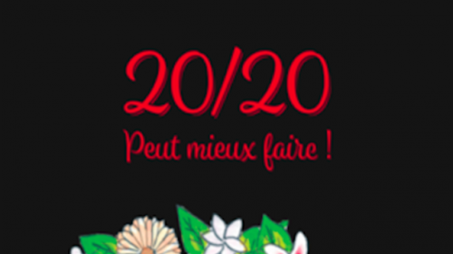 20/20 Peut mieux faire !