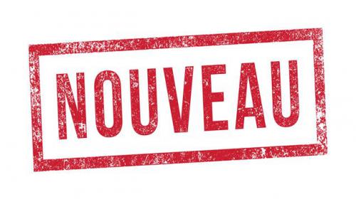 Le dictionnaire 2018 à l’heure du digital