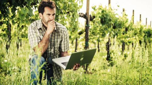 Wine communication: il costume diventa business