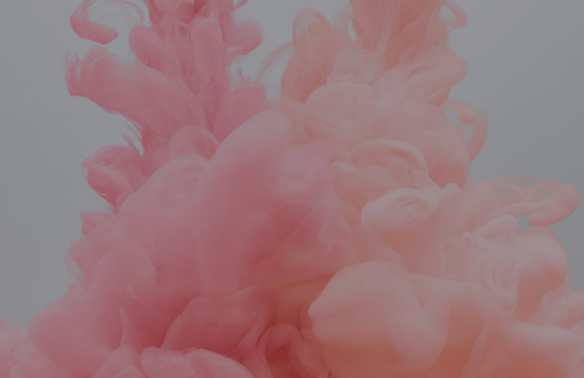 Agenzia Digital Marketing per aziende B2B e B2C - TEAM LEWIS
