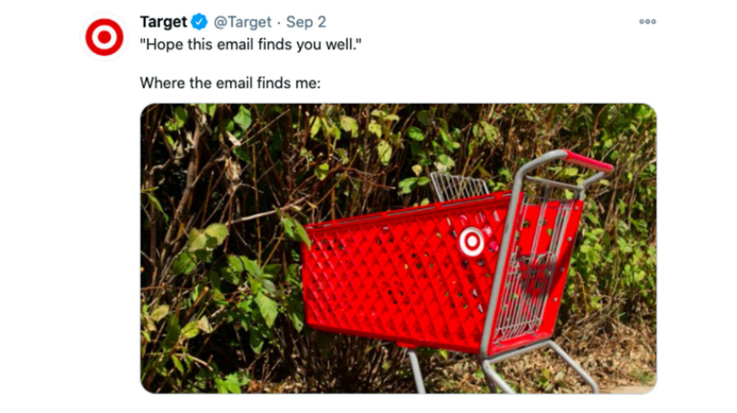 Trend 2021: Social Media - target