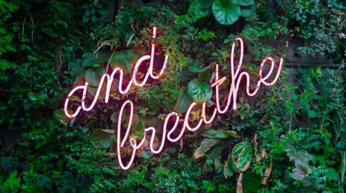 5 Buoni motivi per essere Sostenibili