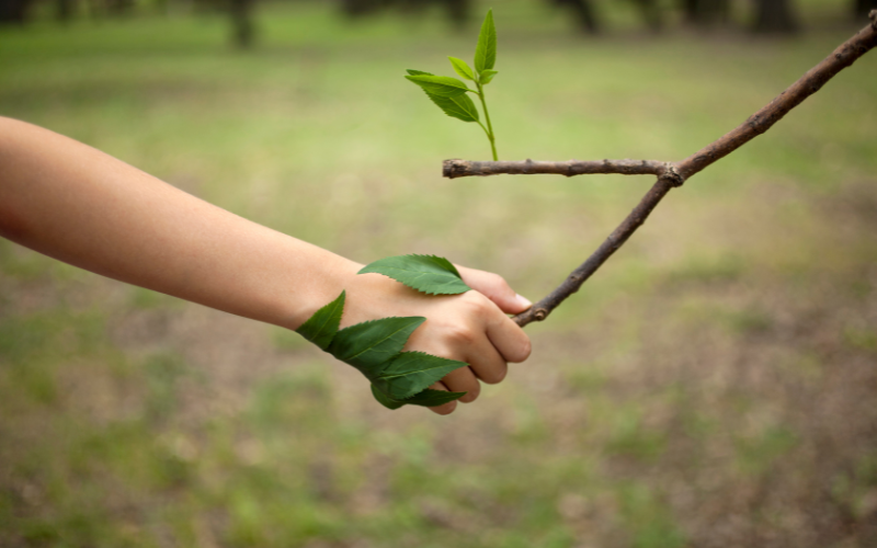 Giornata mondiale dell'ambiente