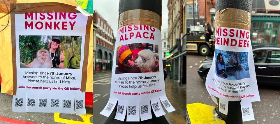 WeRoad campagna missing animals